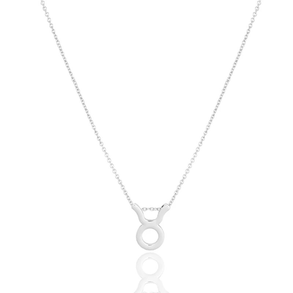 SILVER Zodiac Necklaces - ALL Signs‎ Available